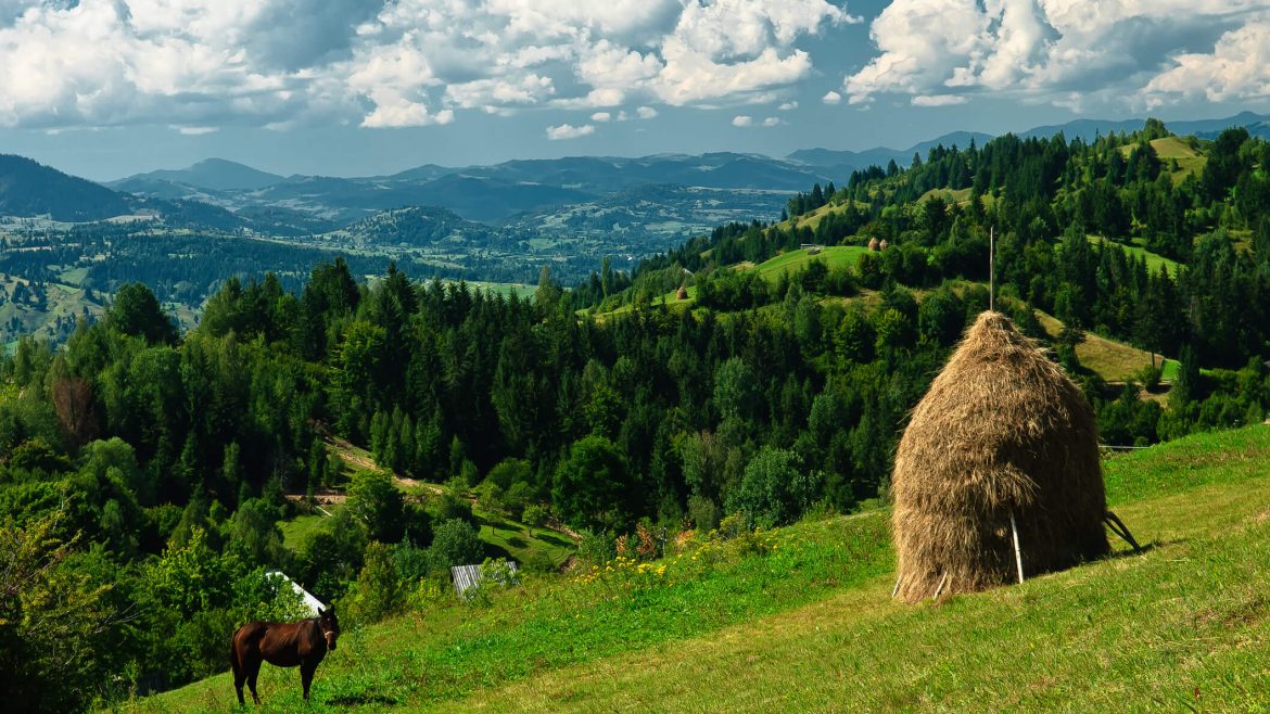 top group travel destinations in Romania