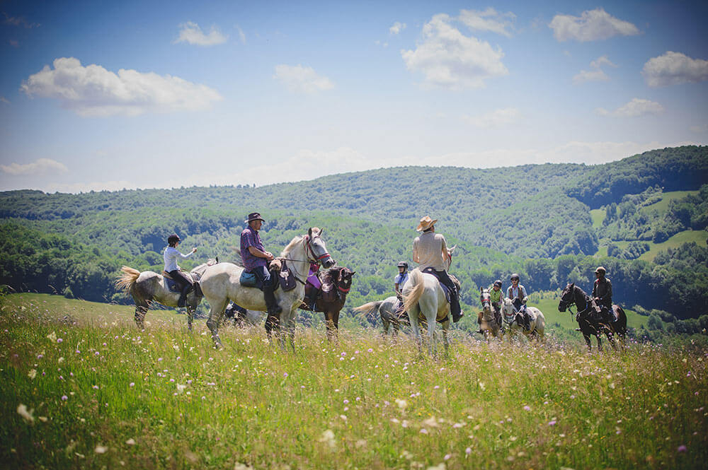 Horeback riding in Transylvania 